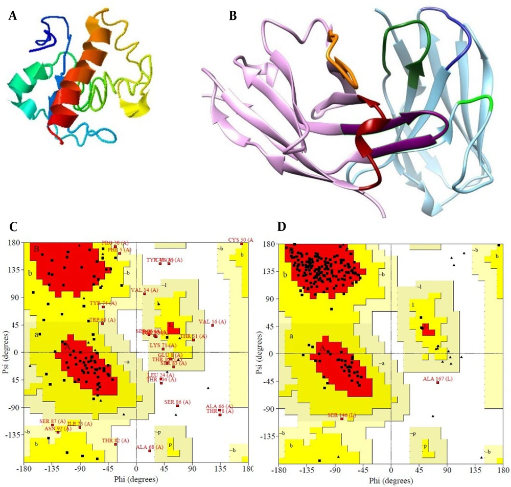 Bioinformatics analysis of the CD24 antigen and single chain variable fragment (scFv) antibody. A, 3D model of CD24 antigen by I-TASSER server; B, visualization of the 3D model of antibody with chimera, CDR1, CDR2, and CDR3 of the VH antibody domain is red, orange, and purple respectively and CDR1, CDR2, and CDR3 of the VL antibody domain is blue, green and dark green respectively; C, Ramachandran plots of the antigen CD24 model and; D, Ramachandran plots of the scFv models. Bioinformatics analysis of the CD24 antigen and single chain variable fragment (scFv) antibody. A, 3D model of CD24 antigen by I-TASSER server; B, visualization of the 3D model of antibody with chimera, CDR1, CDR2, and CDR3 of the VH antibody domain is red, orange, and purple respectively and CDR1, CDR2, and CDR3 of the VL antibody domain is blue, green and dark green respectively; C, Ramachandran plots of the antigen CD24 model and; D, Ramachandran plots of the scFv models.