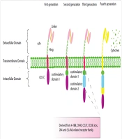 CAR-NK Cells as Promising Immune Therapeutics: Platforms and Current Progress