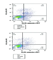 Cover image of the article: The Impact of Acute Myeloblastic Leukemia-Derived Small Extracellular Vesicles on the Bone Marrow Mesenchymal Stem Cells: Expression of G1 Cell Cycle Progression Genes
