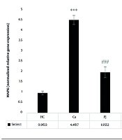 Effect of High-intensity Interval Training Combined with Pomegranate Juice Supplementation on the Granulocyte Colony-Stimulating Factor Signaling Pathway in an Animal Model of Colorectal Cancer Induced by CT26 Cell Line
