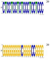 Integrative Systems Biology Analysis of MicroRNA Regulation in Wnt Signaling Pathway During Breast Cancer Progression