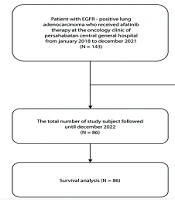 Real-World Analysis of Afatinib for EGFR-Mutated Lung Adenocarcinoma Under Universal Health Coverage: A Single Center Experience