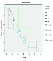 The Investigation of Clinical Profile and Outcomes of Metastatic Colorectal Cancer Patients with RAS or BRAF Mutations in Iran