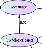 Psychological Capital and Flourishing in Women with Breast Cancer: Acceptance as a Mediator