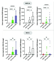 Prognostic Value of KMT2A and Downstream Gene Expression in AML Patients Undergoing Allogeneic Hematopoietic Stem Cell Transplantation