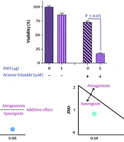 ZnO Q-Dots Nanoparticles: Intensifying ROS Stress to Improve Anticancer Drug Efficacy