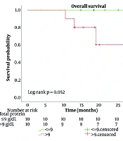 Baseline Total Protein as a Prognostic Biomarker for Progression-Free Survival in Multiple Myeloma Patients Undergoing Autologous Stem Cell Transplantation