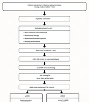 Prevalence and Immunohistochemical Patterns of Mismatch Repair Deficiency in Colorectal Adenocarcinoma: A Retrospective Cross-Sectional Study from Northwestern Iran