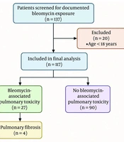 Bleomycin-Associated Pulmonary Toxicity in Adult Cancer Patients: Clinical Characteristics and Outcomes from a Single-Center Retrospective Cohort