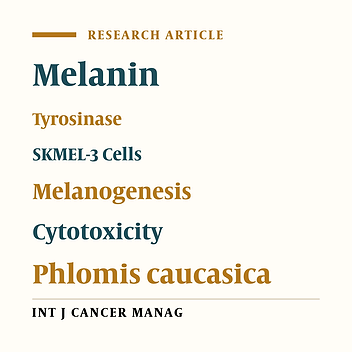Evaluation of Anti-Melanogenic and Cytotoxic Activities of Phlomis caucasica on Human Melanoma SKMEL-3 Cells