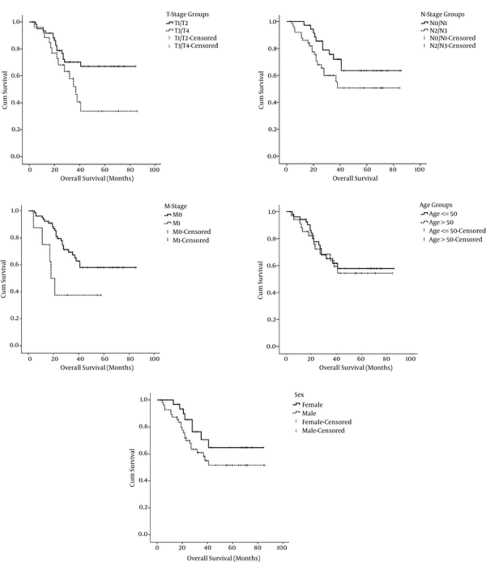 Kaplan Meier Estimates for Overall Survival of the Study Patients According to Tumor, Node and Metastasis Stage, Age and Sex Groups. Kaplan Meier Estimates for Overall Survival of the Study Patients According to Tumor, Node and Metastasis Stage, Age and Sex Groups.