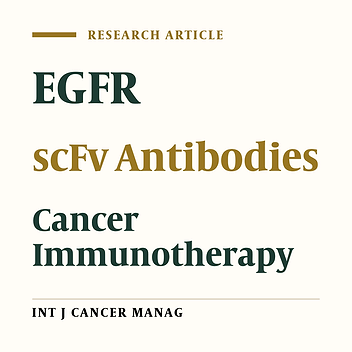 Production of Specific Anti-EGFR Single Chain Antibodies: A Promising Strategy in the Immunotherapy of EGFR Expressing Tumor Tissues