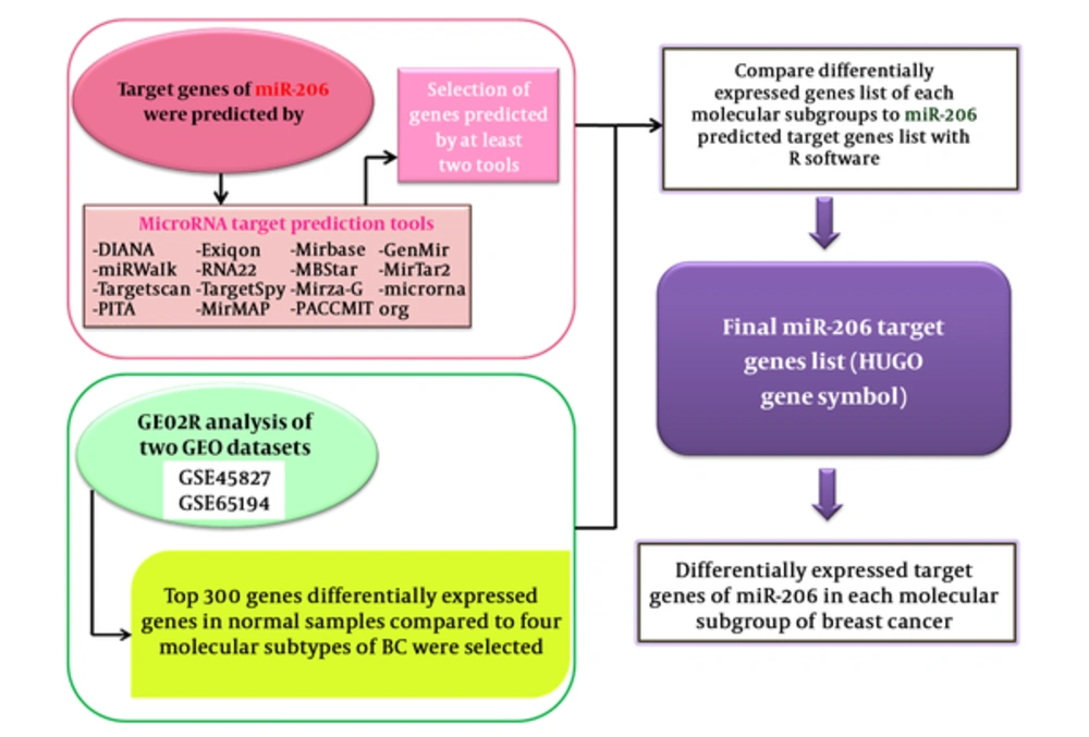 The bioinformatics pipeline used in the current study The bioinformatics pipeline used in the current study