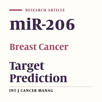 MiR-206 Target Prediction in Breast Cancer Subtypes by Bioinformatics Tools