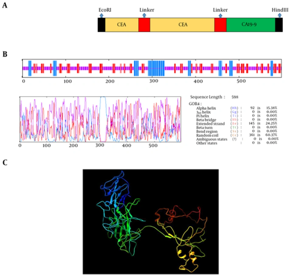 <b>A</b>, Schematic Model of Construction; <b>B</b>, analysis of chimeric CE-CA protein secondary structure; <b>C</b>, prediction of 3D structure of chimeric protein (CE-CA) by I-TASSER server. The result was viewed by Accelrys Discovery studio Visualizer 1.7 software. <b>A</b>, Schematic Model of Construction; <b>B</b>, analysis of chimeric CE-CA protein secondary structure; <b>C</b>, prediction of 3D structure of chimeric protein (CE-CA) by I-TASSER server. The result was viewed by Accelrys Discovery studio Visualizer 1.7 software.