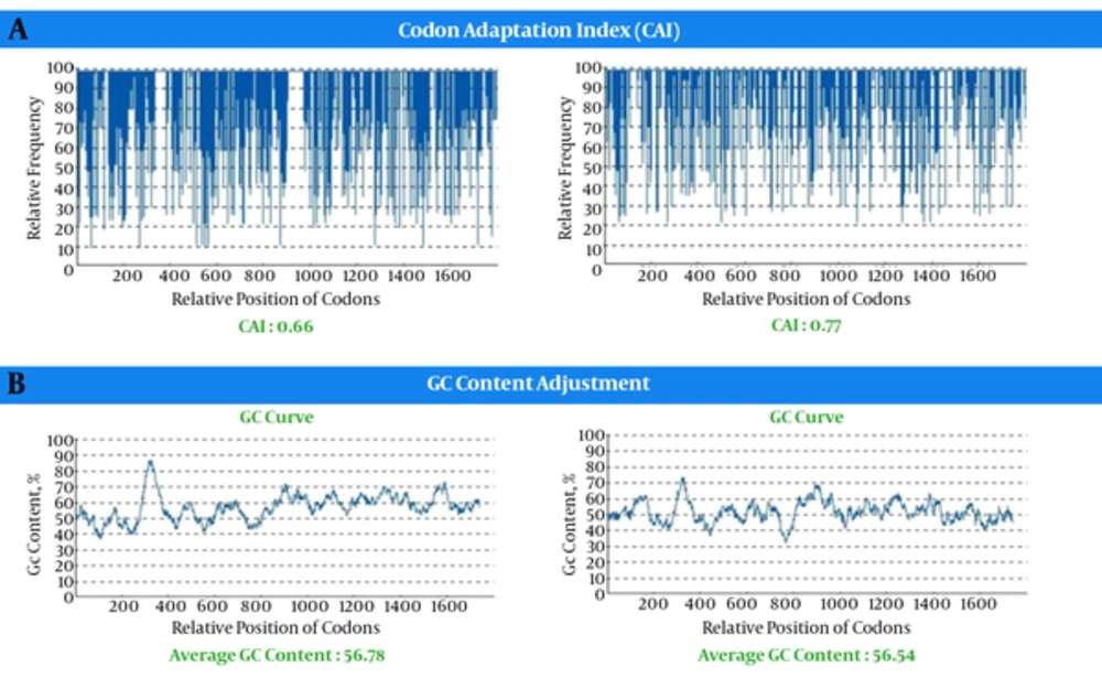 Analysis of the Sequence Encoding the Optimized Chimeric Construct and Wild Type Gene; <b>A</b>, codon adaptation index (CAI); <b>B</b>, percentage distribution of codons. Analysis of the Sequence Encoding the Optimized Chimeric Construct and Wild Type Gene; <b>A</b>, codon adaptation index (CAI); <b>B</b>, percentage distribution of codons.