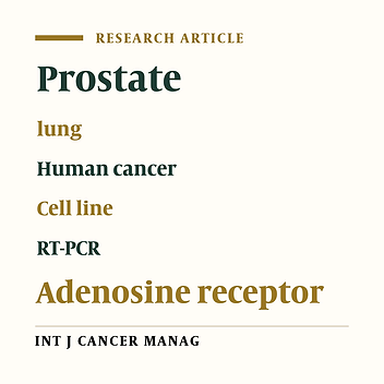 Adenosine Receptor Expression in Two Different Human Cancer Cell Lines at Molecular Level