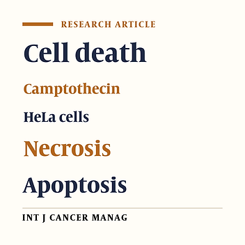 Necrotic Effect versus Apoptotic Nature of Camptothecin in Human Cervical Cancer Cells
