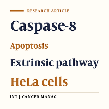 Extracellular Caspase-8 Dependent Apoptosis on HeLa Cancer Cells and MRC-5 Normal Cells by ICD-85 (Venom Derived Peptides)