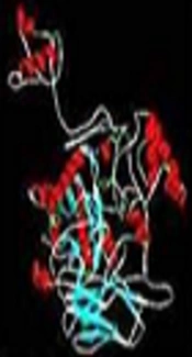 In Silico Evaluation of Two Targeted Chimeric Proteins Based on Bacterial Toxins for Breast Cancer Therapy