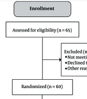 An Investigation on the Effect of BCc1 Nanomedicine on Gastric Cancer Patients Using EORTC QLQ-STO30 Questionnaire