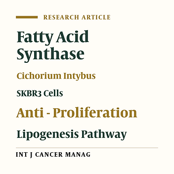 Inhibitory Effects of Cichorium Intybus Root Extract on the Proliferation and Lipogenesis of the SKBR3 Cells