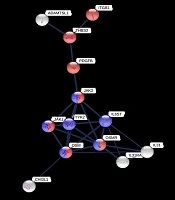 Evaluation of Epithelial-Mesenchymal Transition Genes Involved in Iranian Gastric Cancer Patients via Transcriptome Analysis