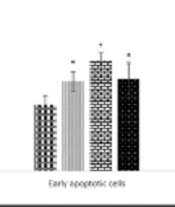 Dose-time and Source-Dependent Analysis of Intraoperative Radiotherapy-Treated Seroma on Breast Cancer Cell Types: A Pilot Study