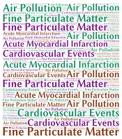 The Impact of Fine Particulate Matter on Cardiovascular Events: A Global Perspective
