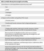 Cover image of the article: Potential Adverse Effects of Female and Male Obesity on Fertility: A Narrative Review