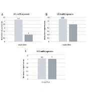 Differential Expression of Suppressor of Cytokine Signaling and Interferon Gamma in Lean and Obese Patients with Type 2 Diabetes Mellitus
