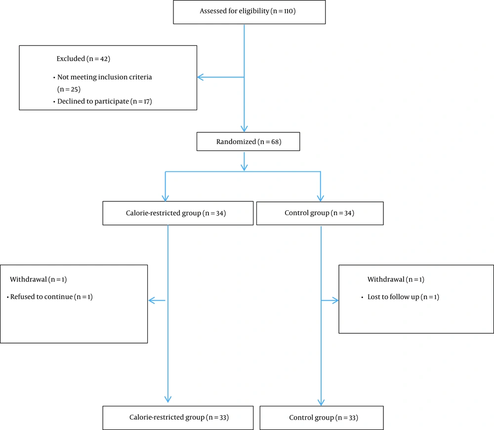 The consort flowchart of the study The consort flowchart of the study