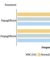 Comparative Incidence of Urinary Tract Infections in Diabetic Women Treated with Dapagliflozin Versus Empagliflozin: A Double-Blind Randomized Clinical Trial