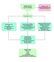 Large-Scale Brain Network Connectivity Mediates the Association Between Metabolic Risk Factors and Cognition: An fMRI Study of the Human Connectome Project