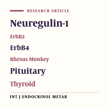 Expression and Localization of Neuregulin-1 (Nrg1) and ErbB2/ErbB4 Receptors in Main Endocrine Organs of the Rhesus Monkey