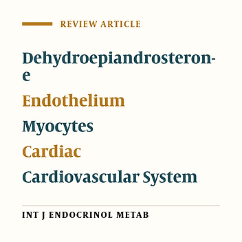 In Vivo and In Vitro Evidences of Dehydroepiandrosterone Protective Role on the Cardiovascular System
