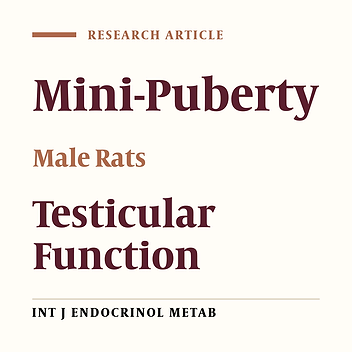 Hormone Inhibition During Mini-Puberty and Testicular Function in Male Rats