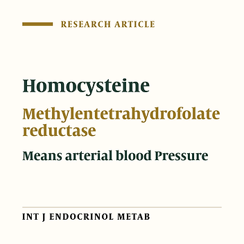 Association of Mean Arterial Blood Pressure with Plasma Total Homocysteine level, but Not with the Common C677T MTHFR Gene Mutation in Postmenopausal Iranian Women