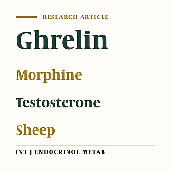 Effect of Interaction Between Testosterone and Morphine on Serum Ghrelin Concentration in Sheep Fed on Different Dietary Energy Levels