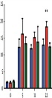 Vitamin D Increases Glucose Stimulated Insulin Secretion from Insulin Producing Beta Cells (INS1E)