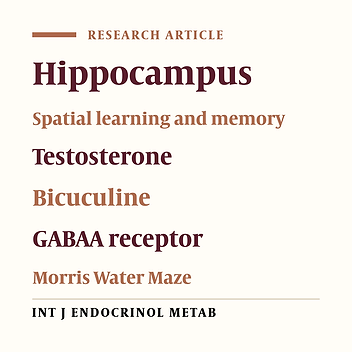 Interaction Between Testosterone and Bicuculline GABAA Antagonist in the CA1 Region of Hippocampus in Spatial Learning in Adult Male Rats