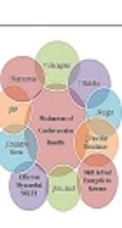 Cover image of the article: Cardiovascular and Renal Benefits of SGLT2 Inhibitors: A Narrative Review