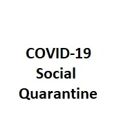 Cover image of the article: Do COVID-19-Related Social Quarantine and Risk Perception Result in Persistent Behaviors Due to Changes in Human Brain Structures?