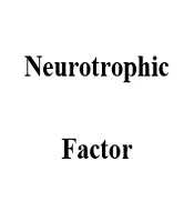 Cover image of the article: Importance of Brain-Derived Neurotropic Factor in Substance Abuse Relapse