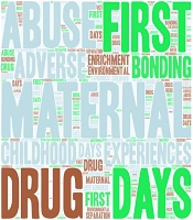 The First 1000 Days of Life and the Risk of Future Drug Consumption