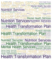 Enhancing Mental Health and Nutrition Services Under Iran's Health Transformation Plan: Evidence from Sistan and Baluchestan Province (A Policy Brief)