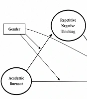 How Academic Burnout Is Linked to Suicidal Ideation in Medical Students: Exploring the Mediating Role of Repetitive Negative Thinking and the Moderating Role of Gender