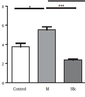 Cover image of the article: Alteration of Hematologic Parameters in Morphine-Dependent Rats by Long-Term Administration of Orexin Type 1 Receptor Antagonist