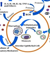 N-acetylcysteine in Severe COVID-19: The Possible Mechanism