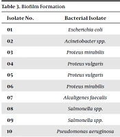 Evaluation of Drug Resistance Before and After Biofilm Formation of Bacteria Causing Wound Infection and Detection of Their Protease Activity